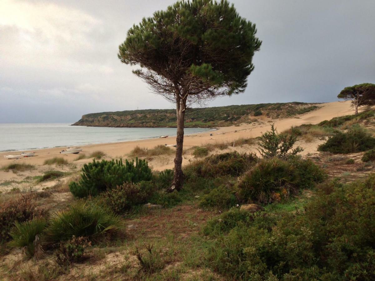 Casita De Bolonia Βίλα Εξωτερικό φωτογραφία